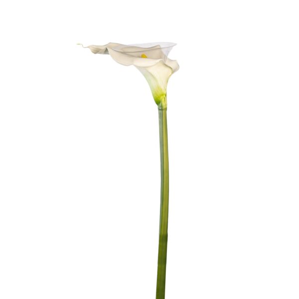 RAMO CALLA REAL TOUCH A GAMBO LUNGO  H73 CM  (Cod. 33349-01)