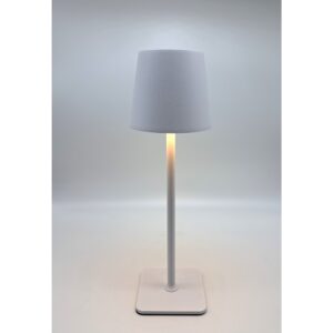LAMPADA EVO PLUS 2700K 52000maH  38 CM bianco (Cod. 40218-01)