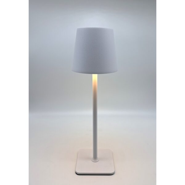 LAMPADA EVO PLUS 2700K 52000maH  38 CM bianco (Cod. 40218-01)