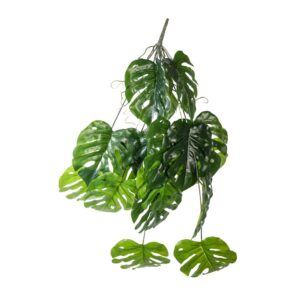 RAMO MONSTERA X6 80 CM verde (Cod. 40208-01)