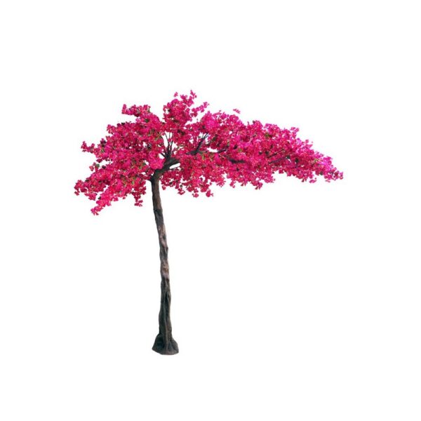 PIANTA GIGANTE BOUGAINVILLEA 27 RAMI 280X150 H320 CM fucsia (Cod. 40190-01)