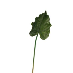 FOGLIA CALLA REAL TOUCH verde (Cod. 40253-01)