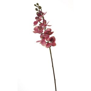 MINI PHALENO REAL TOUCH 65CM  (Cod. 30460-01)