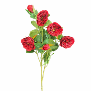 AUSTIN ROSE CM 70 rosso (Cod. 35907-01)