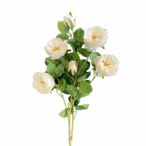 AUSTIN ROSE CM 70 bianco (Cod. 35907-02)