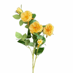 AUSTIN ROSE CM 70 giallo (Cod. 35907-04)