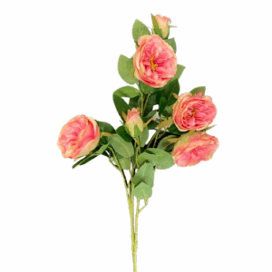 AUSTIN ROSE CM 70 rosa (Cod. 35907-06)
