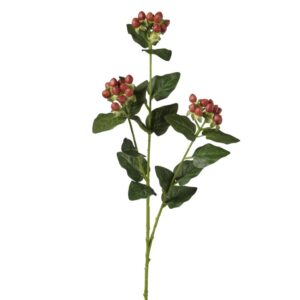 RAMO IPERICUM X3 67 CM rosso (Cod. 40300-01)