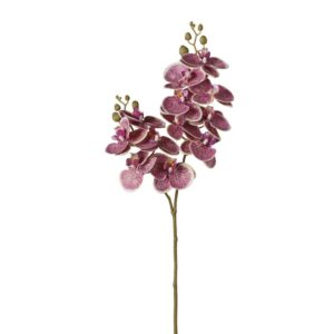 RAMO ORCHIDEA X12 FIORI H74CM purple (Cod. 37875-06)