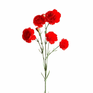 RAMO MINI GAROFANO 5 FIORI 2 BOCCIOLI 70 CM rosso (Cod. 40249-01)