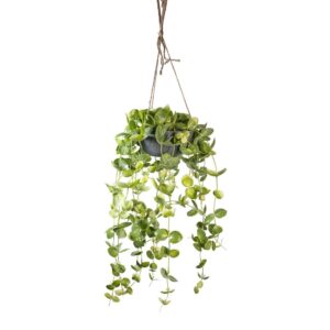 PIANTA ACQUATICA  IN VASO DA APPENDERE CM 60 verde (Cod. 40490-01)