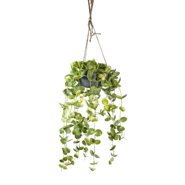 PIANTA ACQUATICA  IN VASO DA APPENDERE CM 60 verde (Cod. 40490-01)