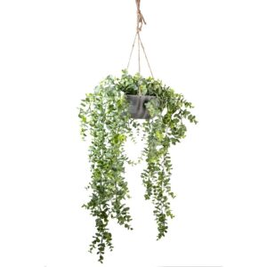 EUCALYPTUS  IN VASO DA APPENDERE CM 60 verde (Cod. 40488-01)