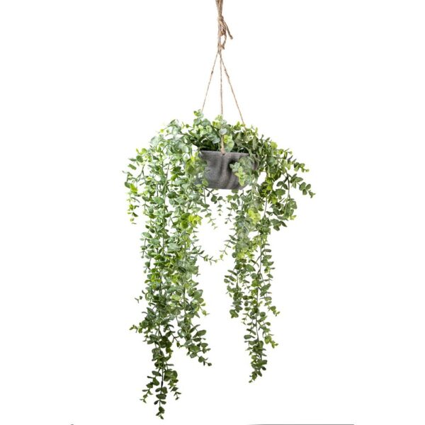 EUCALYPTUS  IN VASO DA APPENDERE CM 60 verde (Cod. 40488-01)