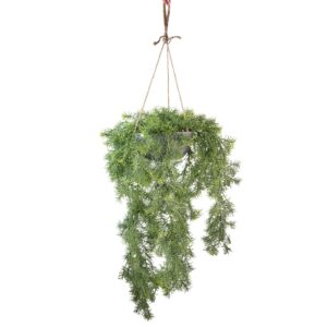 SPRINGERI  IN VASO DA APPENDERE CM 60 verde (Cod. 40487-01)