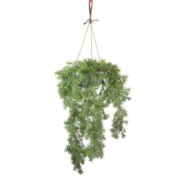 SPRINGERI  IN VASO DA APPENDERE CM 60 verde (Cod. 40487-01)
