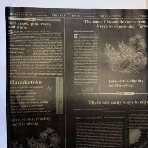 SET 12 PZ. FOGLI OPALIN CM 58X58 JOURNAL ORO SATINATO nero (Cod. 40335-01)