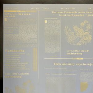 SET 12 PZ. FOGLI OPALIN CM 58X58 JOURNAL ORO SATINATO avorio (Cod. 40335-02)
