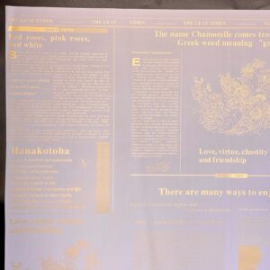 SET 12 PZ. FOGLI OPALIN CM 58X58 JOURNAL ORO SATINATO rosa-antico (Cod. 40335-03)