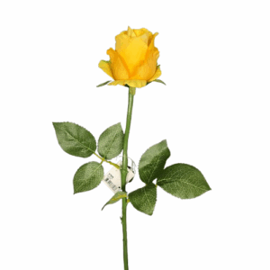 RAMO ROSA BOCCIOLO CM58 giallo (Cod. 40334-03)