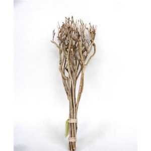 FASCIO DI RAMI DI TE' 65 CM naturale (Cod. 40409-01)