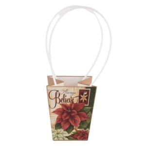  10 PZ. BORSA DI CARTA 13X9,5XH15 CM rosso (Cod. 40434-01)