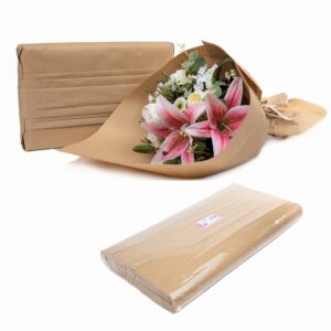 10 KG FOGLI CARTA AVANA RICICLATA 50GR 70X100 CM   (Cod. 40345-01)