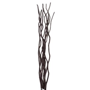 KUWA BRANCHES COL. H.80 10PZ. marrone-cioccolato (Cod. 30116-02)