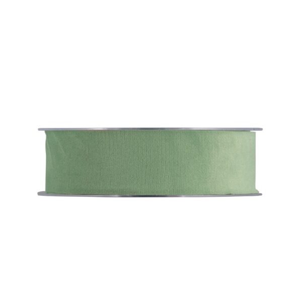 NASTRO VELLUTO 25MMX15MT verde-chiaro-19 (Cod. 28040-05)