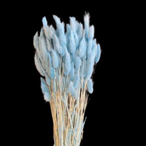 LAGURUS TOPINI GR.100 azzurro (Cod. 32442-09)