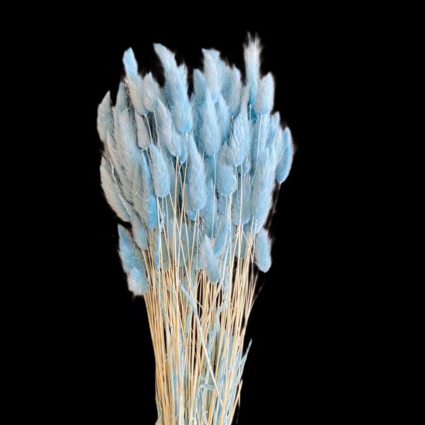 LAGURUS TOPINI GR.100 azzurro (Cod. 32442-09)