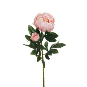 PEONIA RAMO X2 1 FIORE E 1 BOCCIOLO APERTO 66CM rosa-antico (Cod. 25470-10)