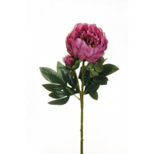 PEONIA RAMO X2 1 FIORE E 1 BOCCIOLO APERTO 66CM viola (Cod. 25470-11)