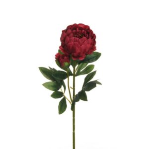 PEONIA RAMO X2 1 FIORE E 1 BOCCIOLO APERTO 66CM amaranto (Cod. 25470-12)