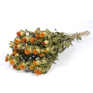 MAZZO CARTHAMUS arancione-naturale (Cod. 40991-01)