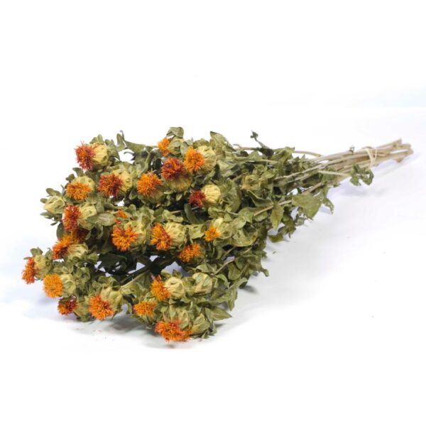 MAZZO CARTHAMUS arancione-naturale (Cod. 40991-01)
