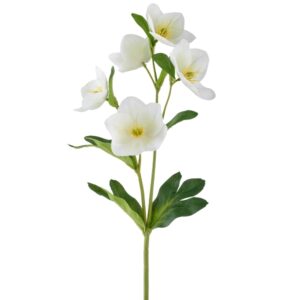 HELLEBORO 44 CM bianco (Cod. 41045-02)