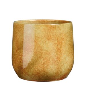 CASPO HUGO H25 D28 CM ocra (Cod. 40846-01)