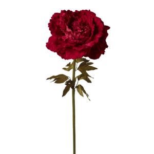 RAMO PEONIA VELLUTO 38X38 H115 CM rosso (Cod. 41063-01)
