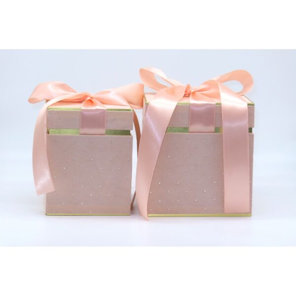 SET 2 PZ. SCATOLA BRILLANT 13X13 H16 - 16X16 H17 CM rosa (Cod. 40761-02)