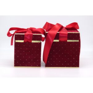 SET 2 PZ. SCATOLA BRILLANT 13X13 H16 - 16X16 H17 CM rosso (Cod. 40761-03)