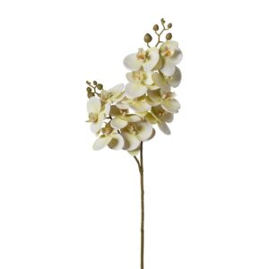 RAMO ORCHIDEA X12 FIORI H74CM bianco-giallo (Cod. 37875-07)