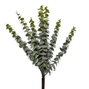 1 PZ. MAZZO EUCALIPTO 50 CM tonalità-leggermente-diverse-- (Cod. 40981-01)