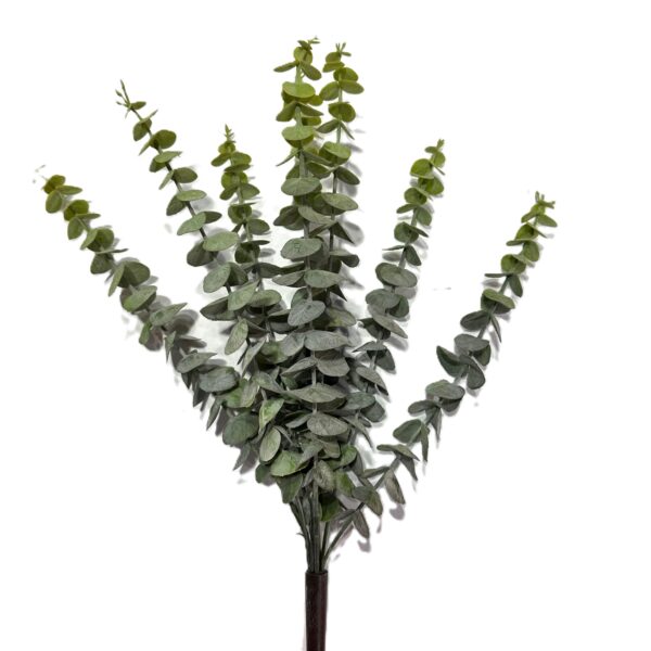 1 PZ. MAZZO EUCALIPTO 50 CM tonalità-leggermente-diverse-- (Cod. 40981-01)