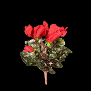 CICLAMINI X24 36 FOGLIE rosso (Cod. 40557-02)