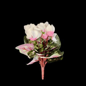 CICLAMINI X24 36 FOGLIE white-pink (Cod. 40557-03)