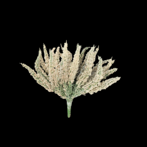 MAZZO ERIKA X24 bianco (Cod. 40556-03)