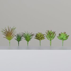 SET 6 PZ. SUCCULENTIA 12 CM modelli-assortiti (Cod. 40979-01)