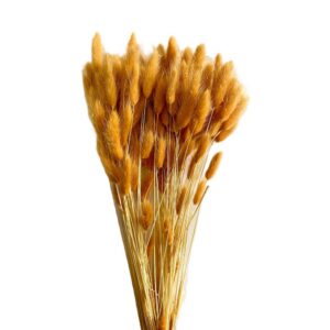 LAGURUS TOPINI GR.100 terra (Cod. 32442-21)
