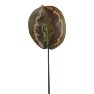 RAMO CALATHEA 3D REAL TOUCH 61 CM variegato (Cod. 41019-02)